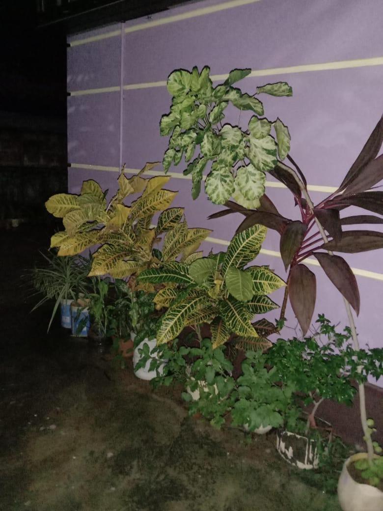 Vian Homestay Honavar Luaran gambar